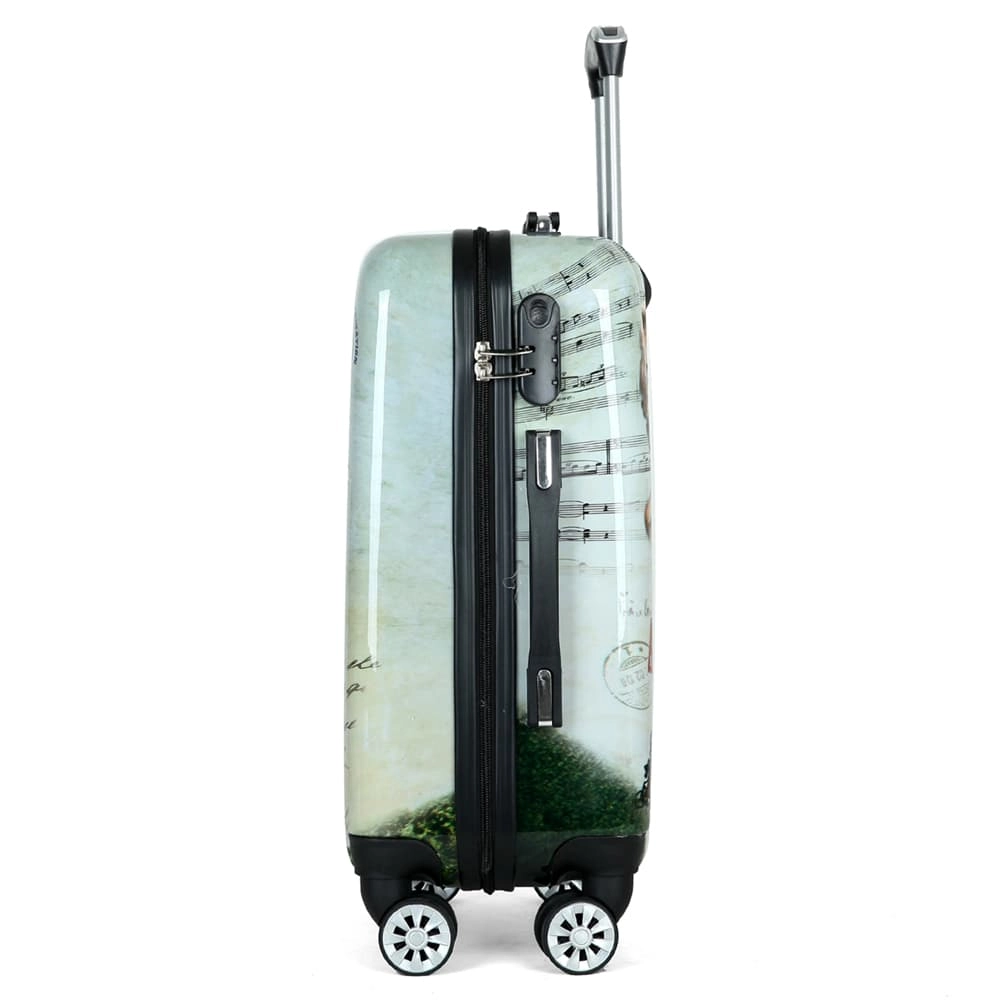 PVC luggage