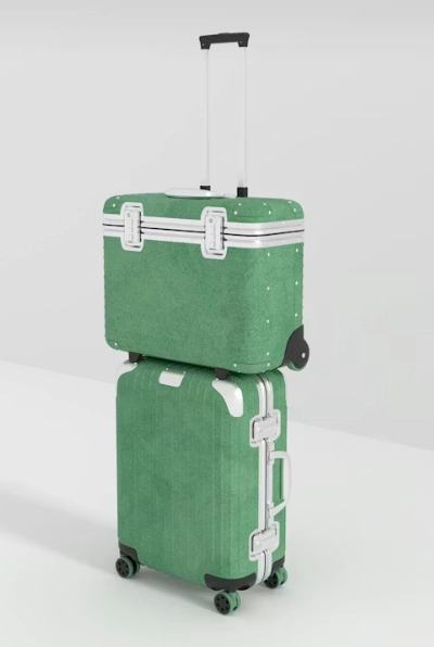 two pieces of luggage