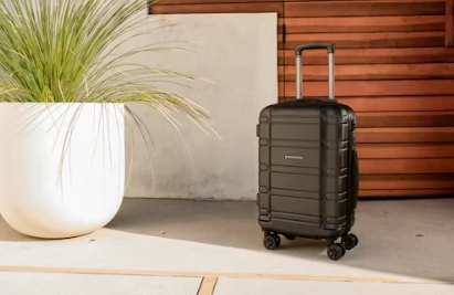 a black suitcase next to a plant