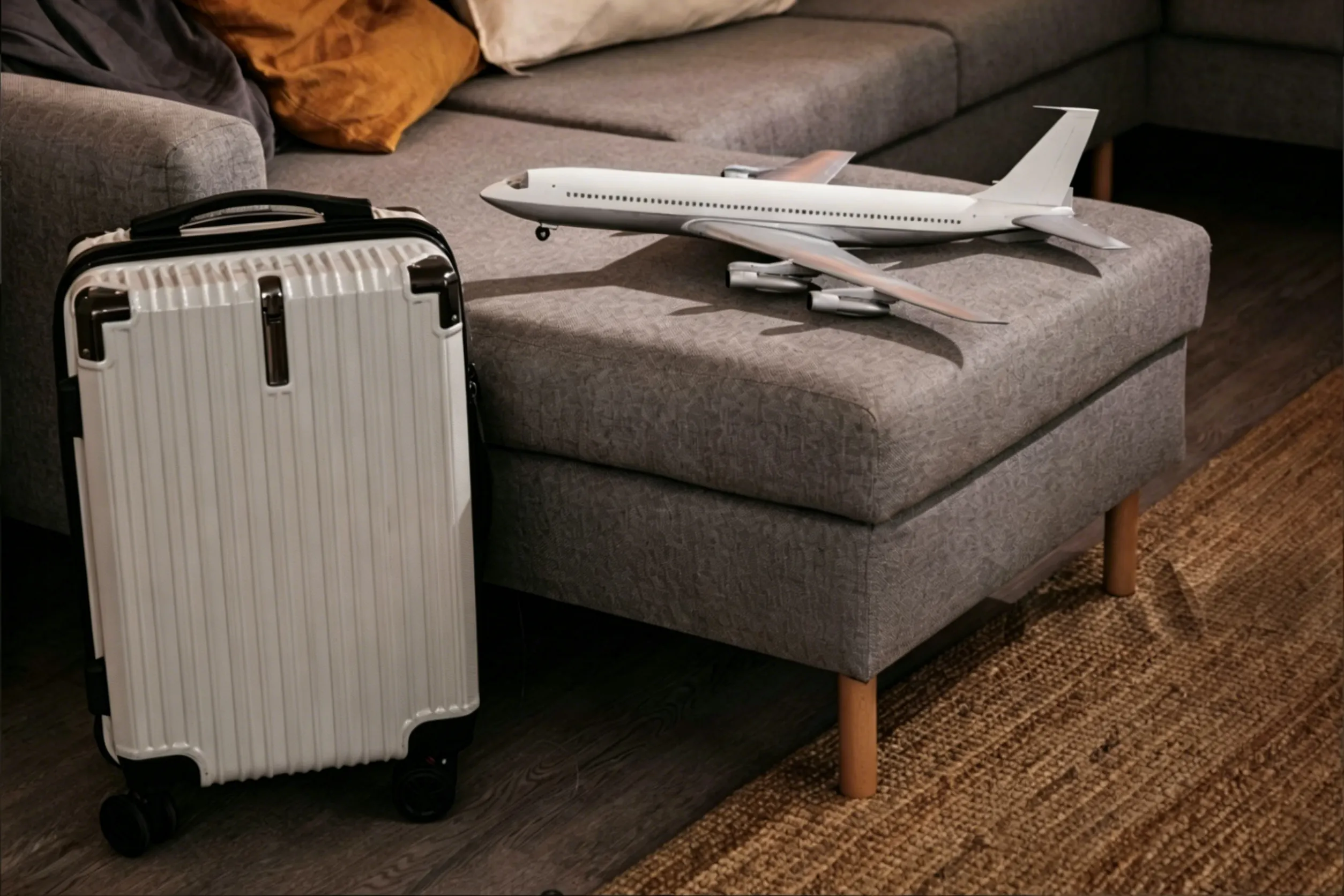 20-Inch Luggage