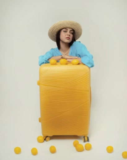 Luggage Organization Systems for Business Women Who Travel Frequently