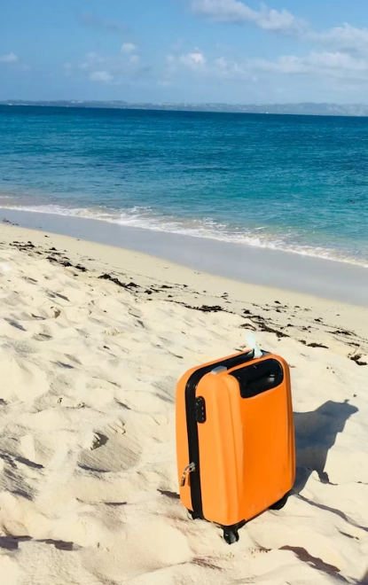 Spinner Wheels Luggage Design Engineering for Frictionless Movement