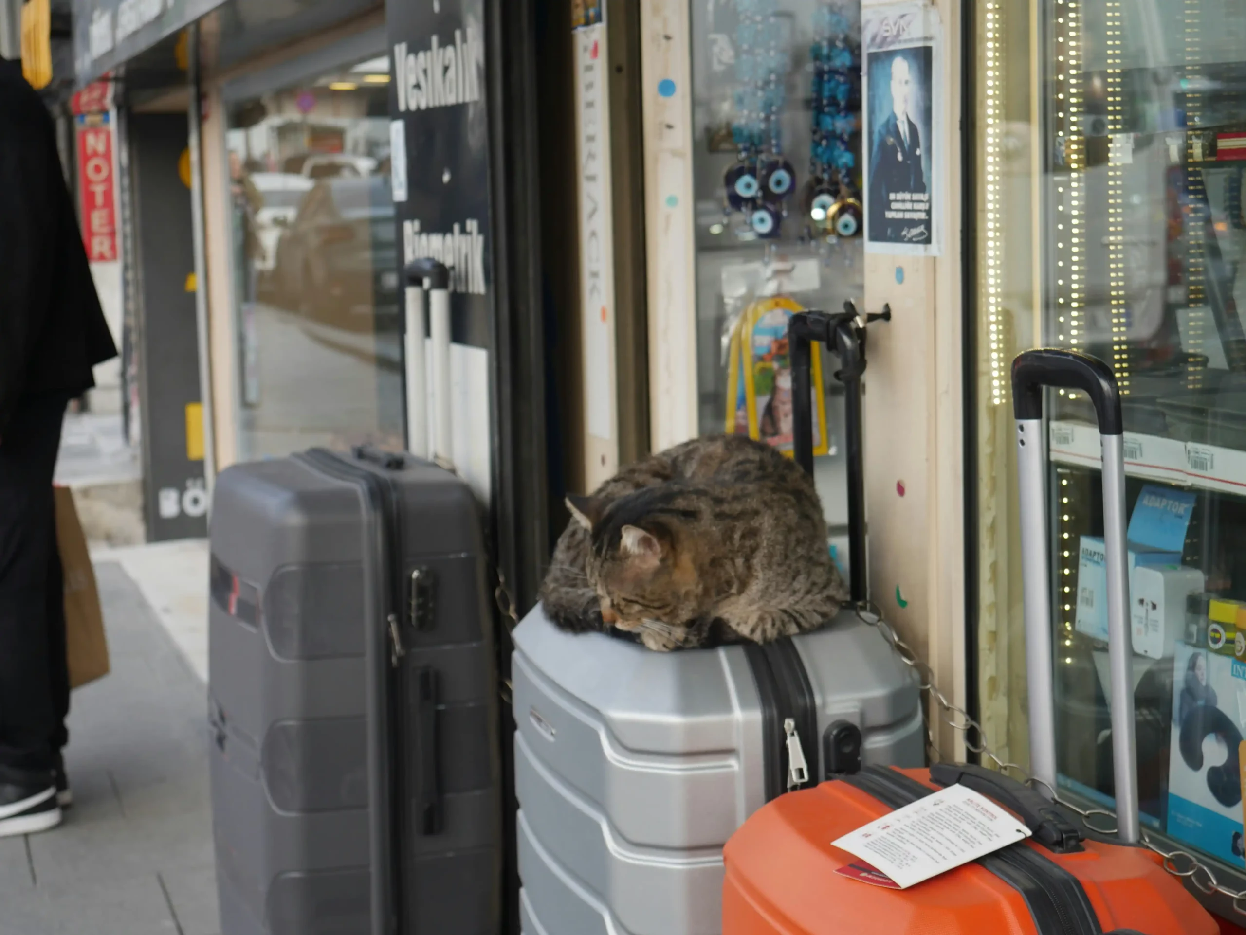 7 Features to Look for in a Durable Suitcase for Frequent Travelers 7 Features to Look for in a Durable Suitcase for Frequent Travelers